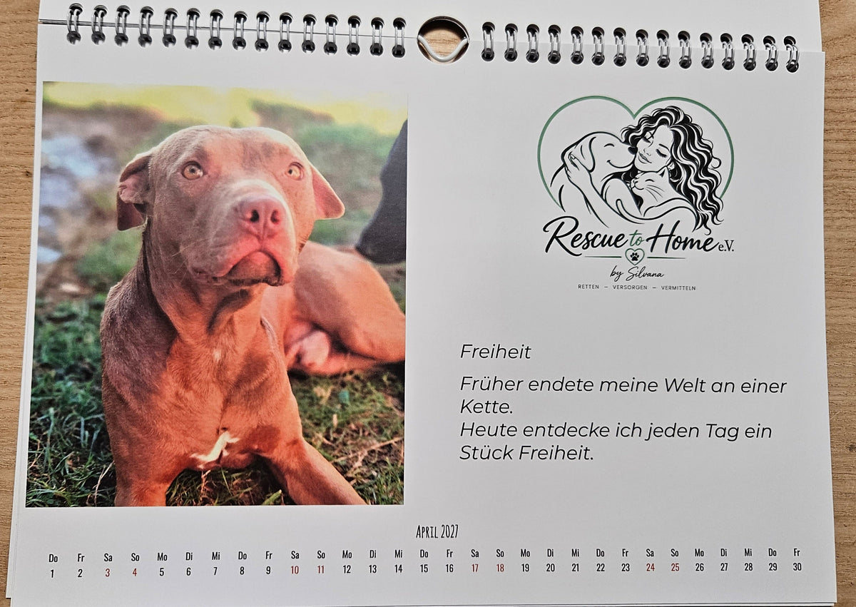 Der Kalender der hilft!!! Noel & Silvana by Rescue to Home